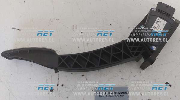 Cinturon Seguridad Trasero Derecho (MGM242) MG6 1.5 Mecánico 2021 $15.000 + IVA (14)