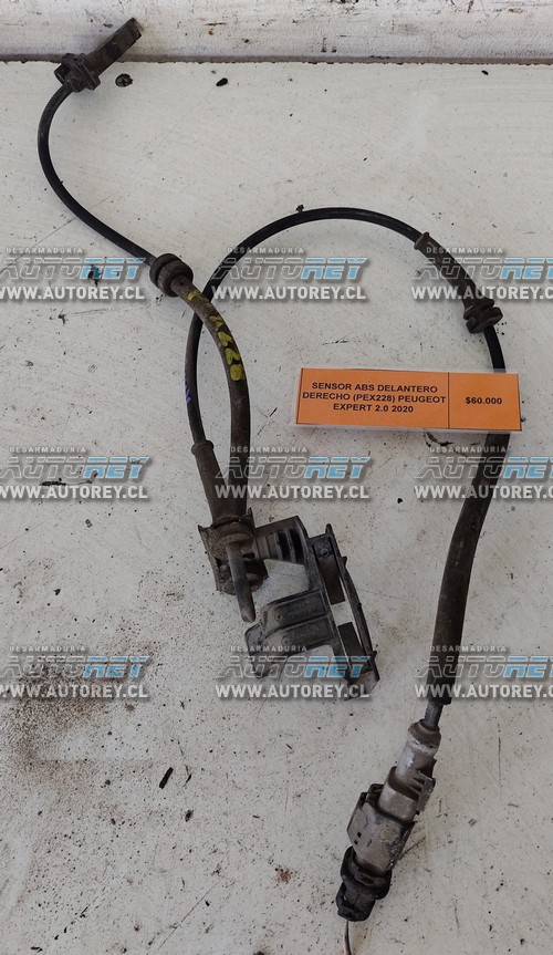 Sensor ABS Delantero Derecho (PEX228) Peugeot Expert 2.0 2020 $35.000 + IVA