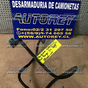 Carrito