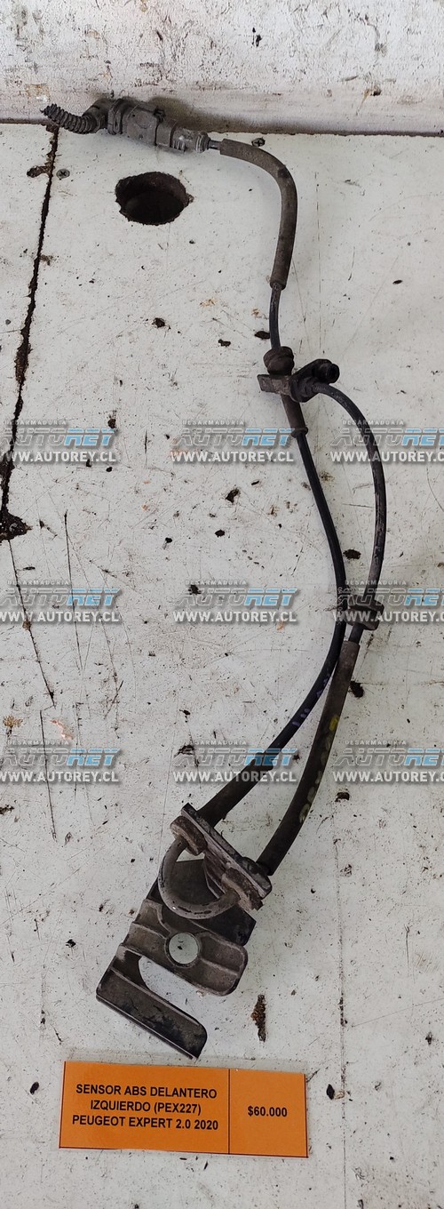 Sensor ABS Delantero Izquierdo (PEX227) Peugeot Expert 2.0 2020 $35.000 + IVA