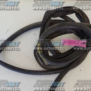 Goma Contorno Puerta Trasera Izquierda (FES074) Ford Ecosport 2020 $10.000 + IVA