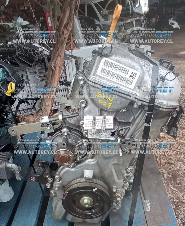 Motor Ensamble Culata Carter Detalle Tapa Distribución (SVN001) Suzuki New Vitara 1.6 Mec 4×2 2016