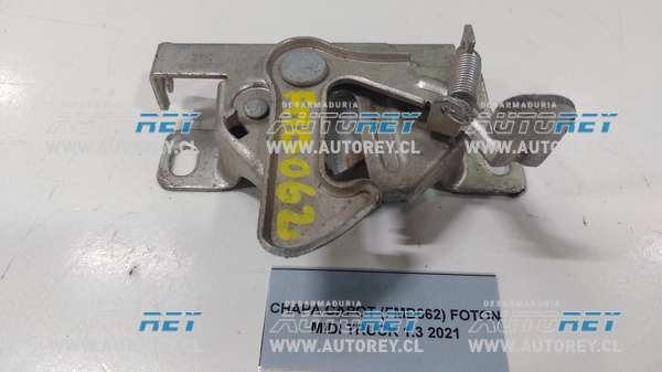 Chapa Capot (FMD062) Foton Midi Truck 1.3 2021