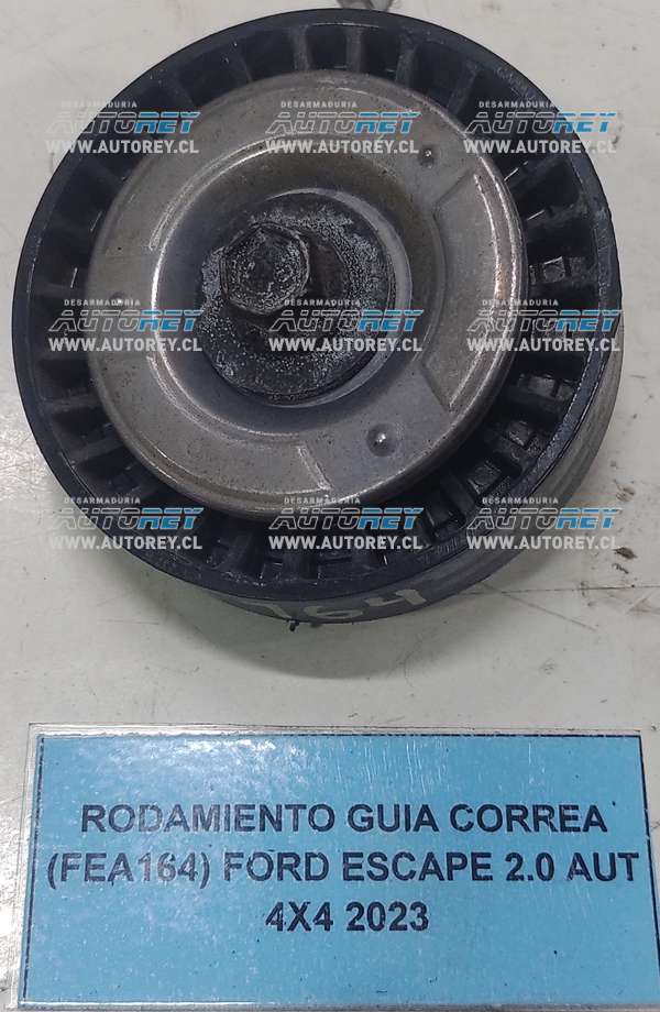 Rodamiento Guía Correa (FEA164) Ford Escape 2.0 AUT 4×4 2023