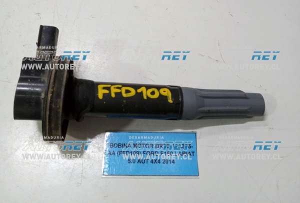 Bobina Motor BR3E-12A375-AA (FFD109) Ford F150 Lariat 5.0 AUT 4×4 2015