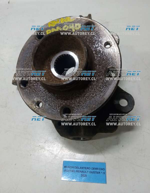 Muñon Delantero Derecho (RDD040) Renault Duster 1.6 2020