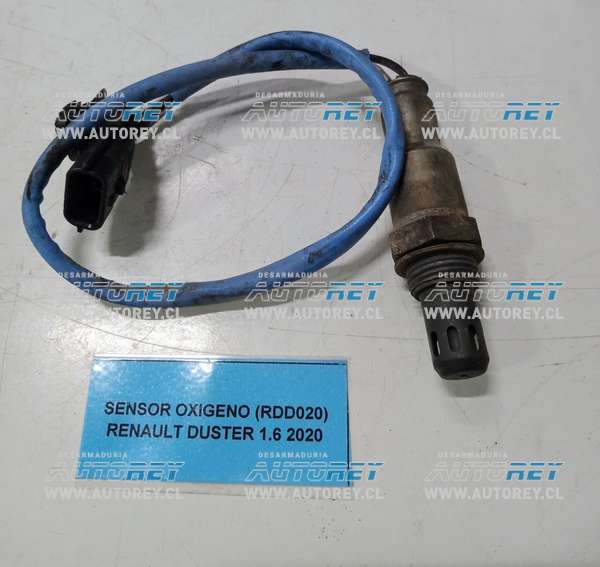Sensor Oxigeno (RDD020) Renault Duster 1.6 2020