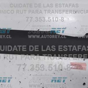 Inicio