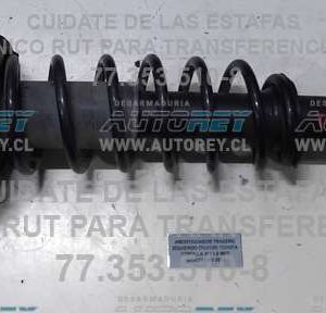 Carrito