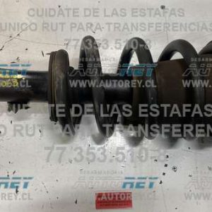 Carrito