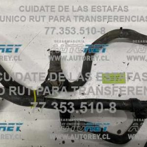 Carrito